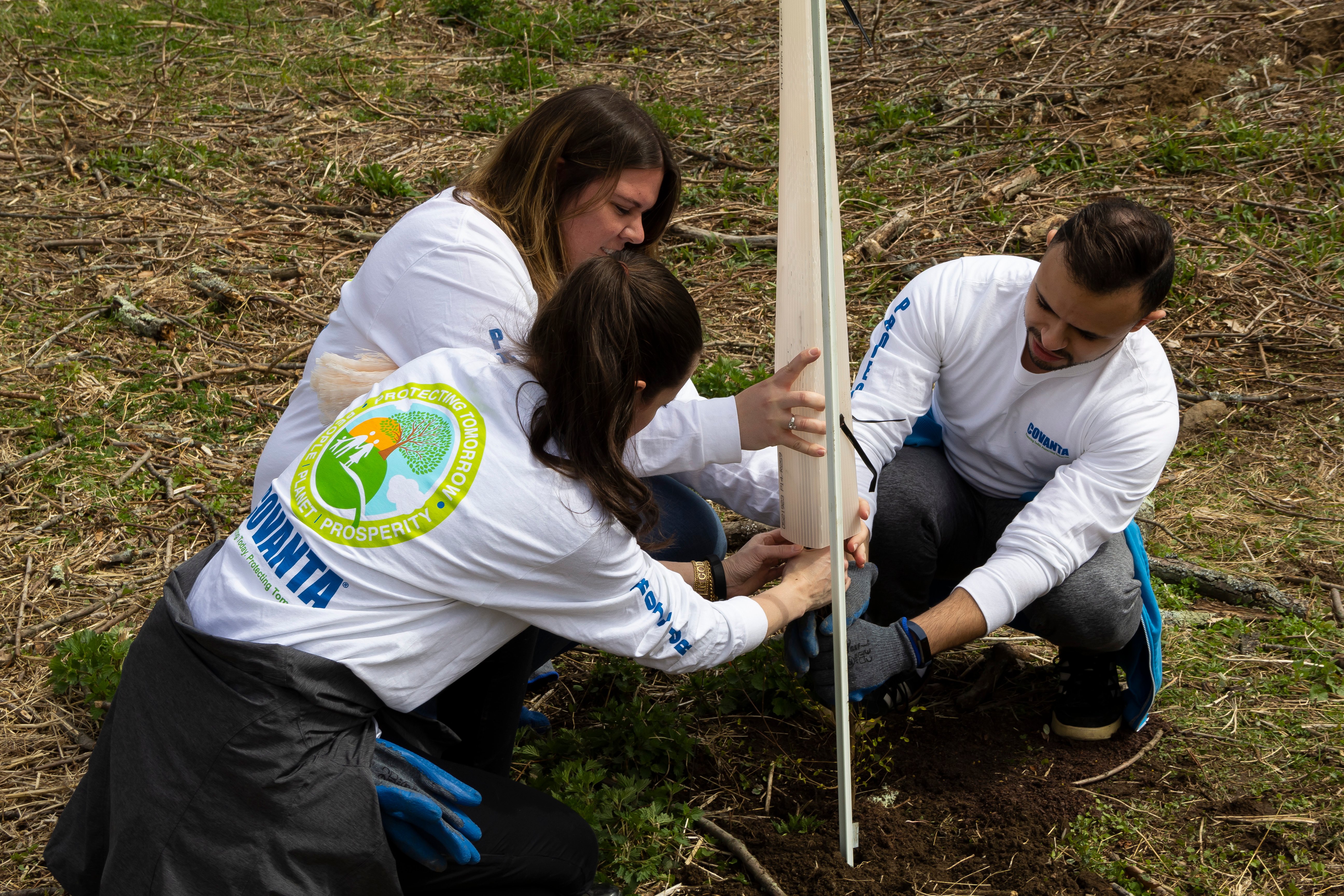 Covanta employees planting trees and flowers in a Morristown park