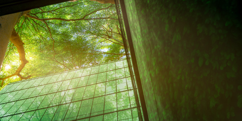 green building under a tree